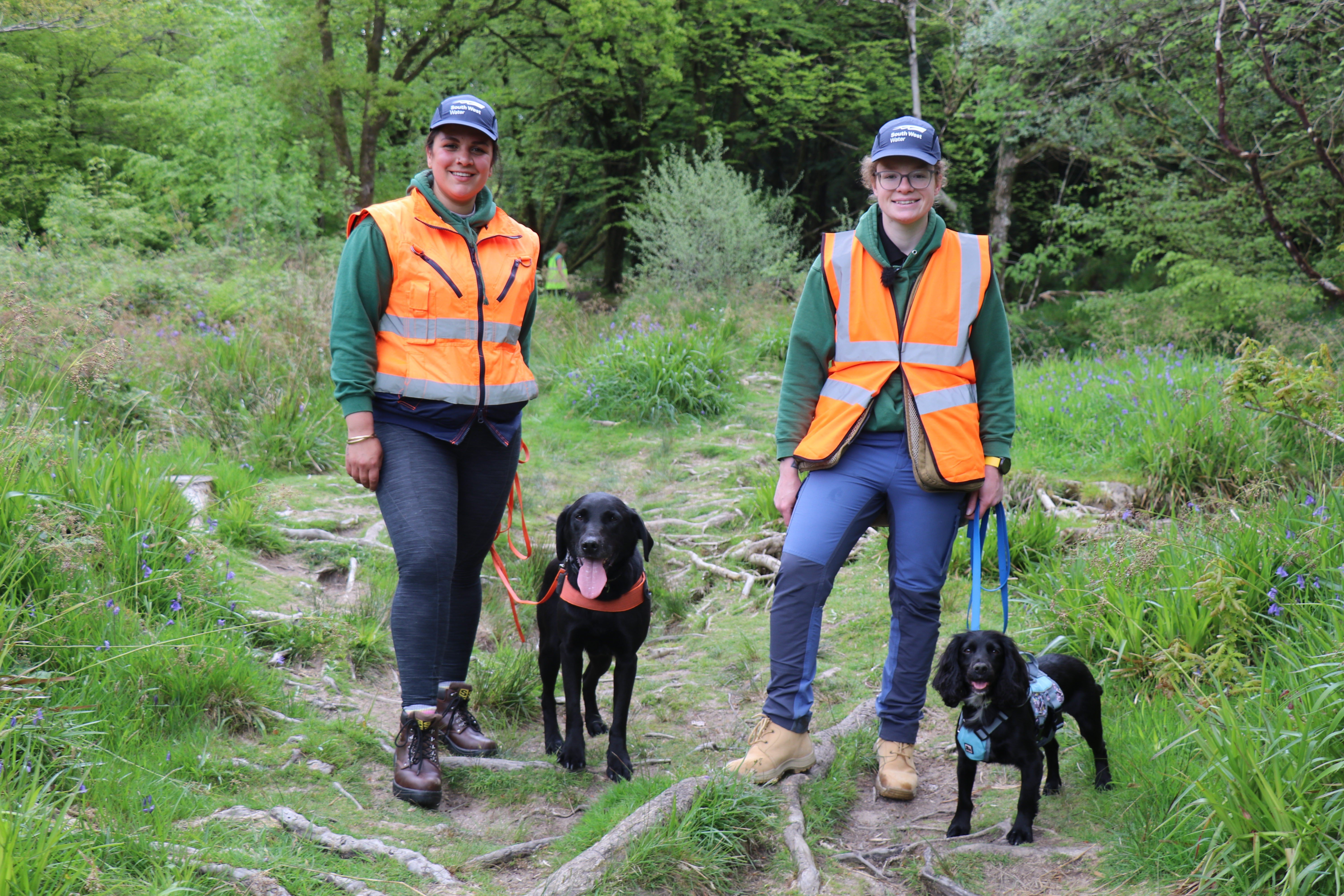 Meet the dogs helping to control invasive species in the South West
