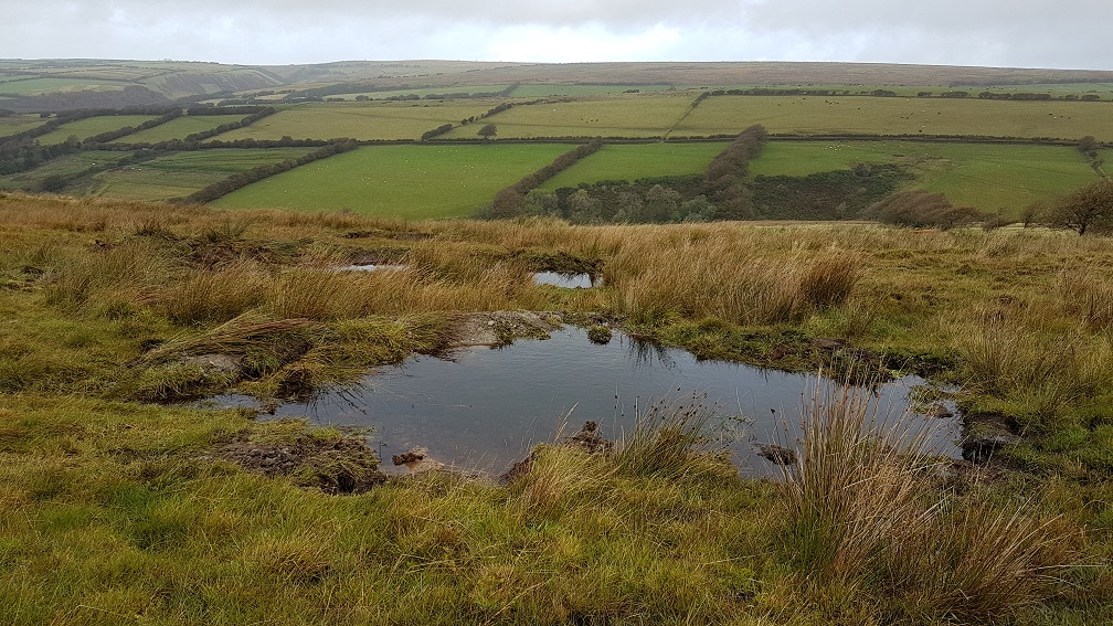 South West Water secure £9m funding to tackle climate change alongside the South West Peatland Partnership