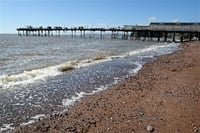 Even cleaner seas for Teignmouth
