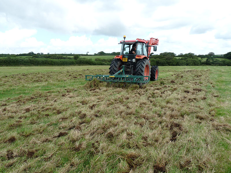 Creating new Culm grassland within the Tamar catchment (002).jpg