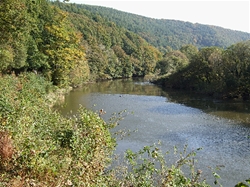 The River Tamar is one of the rivers targeted in the Upstream Thinking programme
